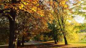 London boroughs congratulated on green spaces