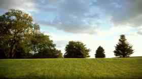 Parks and green spaces contract to be handed over to council company