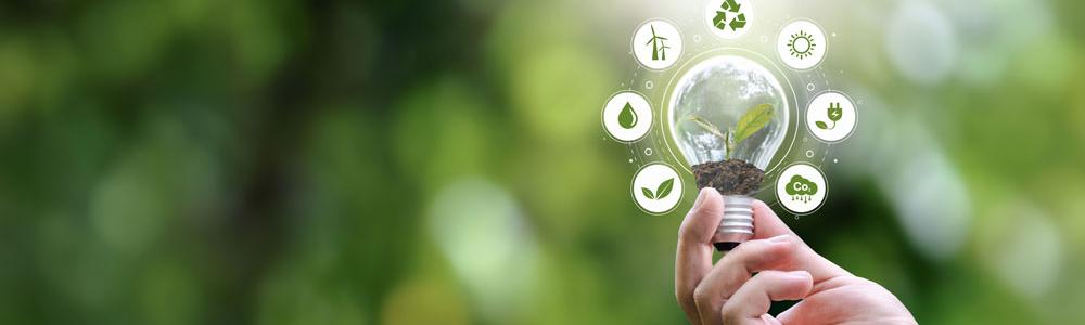 Sustainability