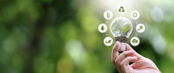 Sustainability