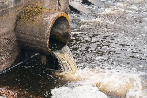 Water