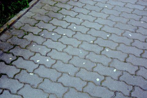 Chewing gum streets