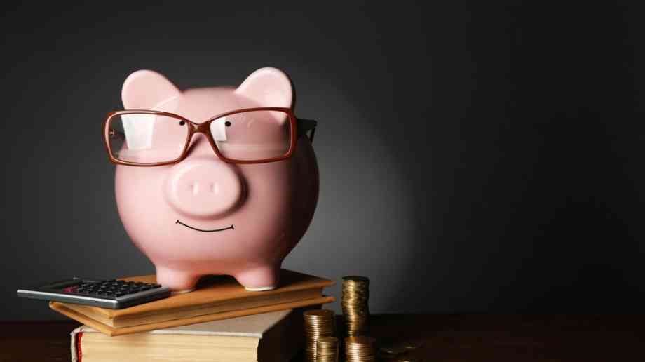 Piggy bank with money