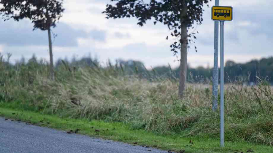 Bus stop on rural lane