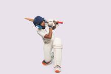 Cricket