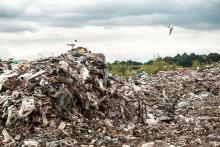 Rubbish dump