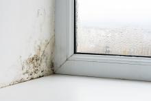 Mould