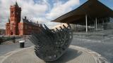 Senedd