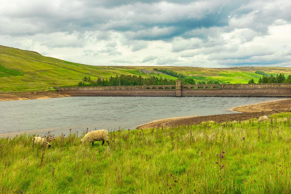 Reservoir