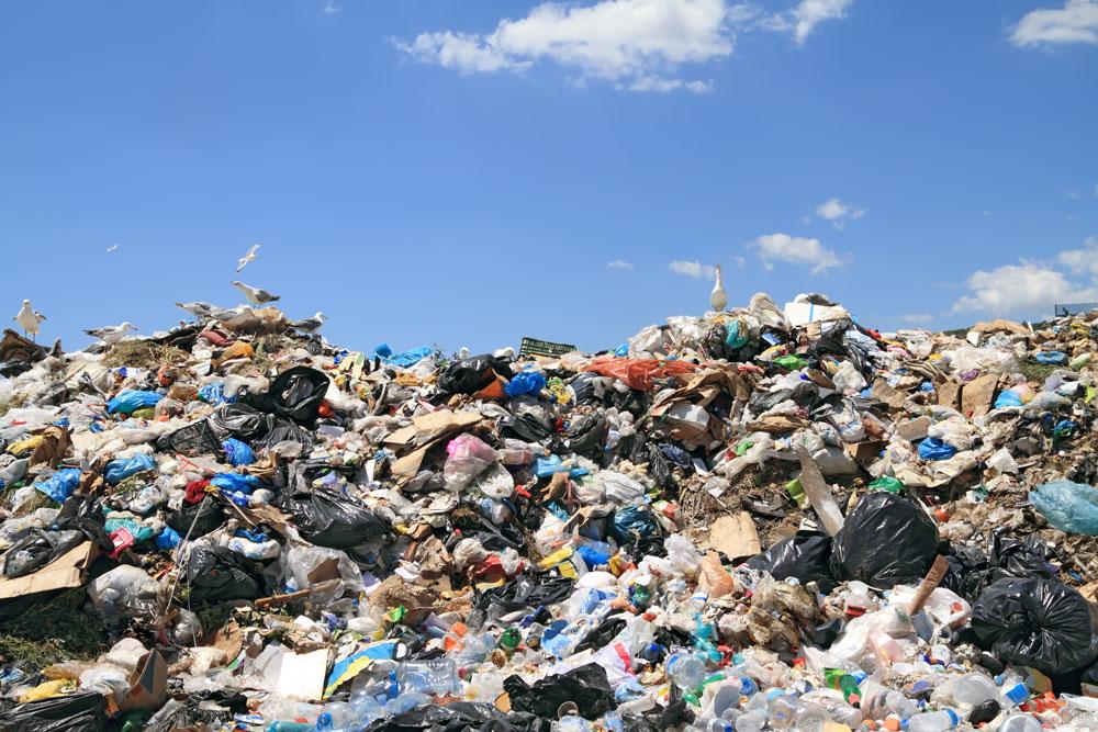 Dump