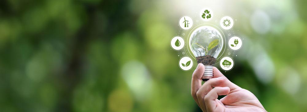 Sustainability