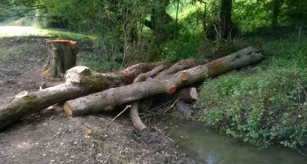 Natural flood management in the Stroud Valleys